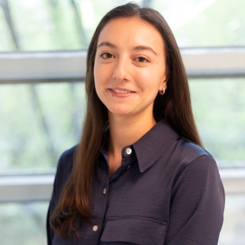 Administrative Roles